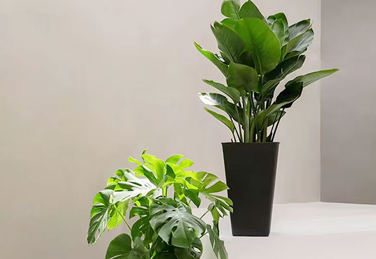 Aluminum Flower Planter Box
